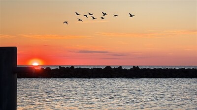 avondrood avondrood