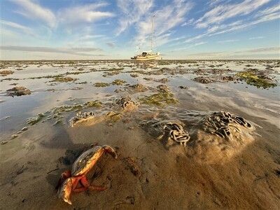 fotowedstrijd-10-600-x-450 fotowedstrijd-10-600-x-450